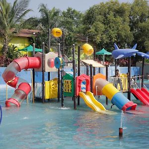 Vits Roccia Hill Resort And Adventure Park, Navapur